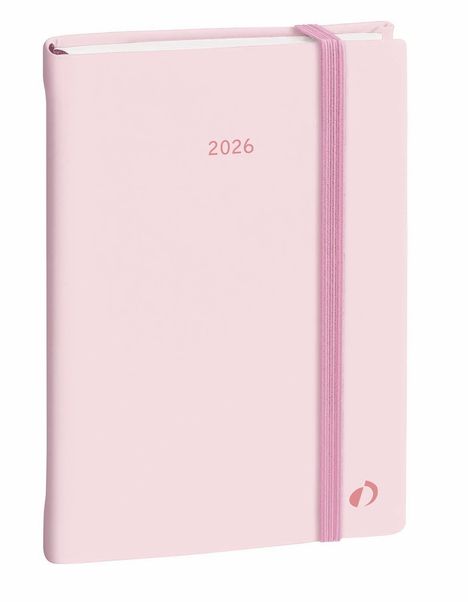 Daily color 21 Pastel rosa 2026, Buch