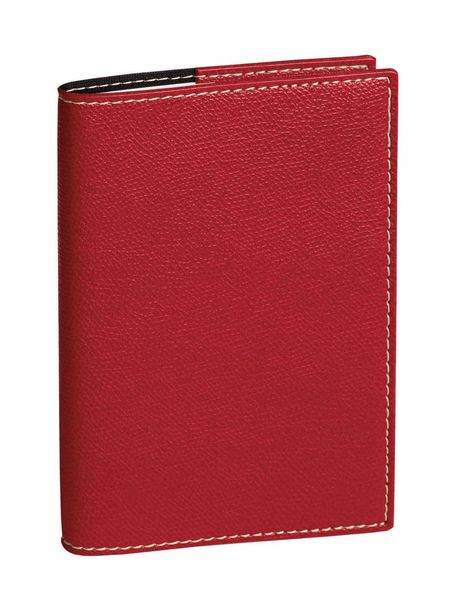Minister VZ Club rot 2026, Buch