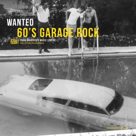 Wanted 60's Garage Rock - From Diggers To Music Lovers (180g), LP