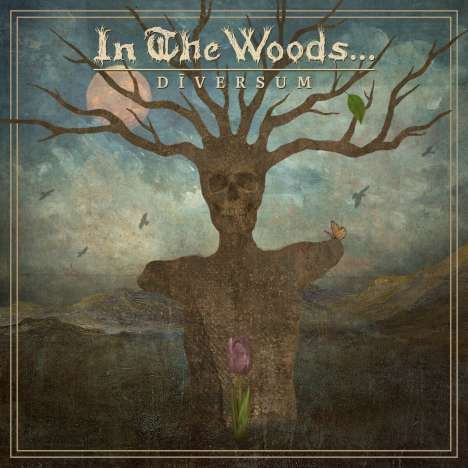In The Woods: Diversum, CD