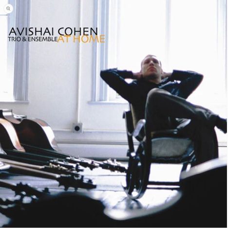 Avishai Cohen (Bass) (geb. 1970): At Home (180g) (20th Anniversary Edition), 2 LPs