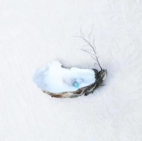 Kein Text. Eine offene Muschel mit einer blauen Perle liegt auf hellem Sand.