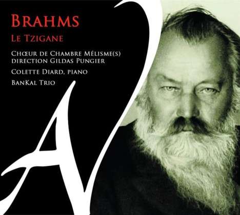 Johannes Brahms (1833-1897): Chorwerke - "Brahms Le Tzigane", CD
