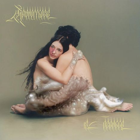 12 Ensemble - Metamorphosis (Deluxe-Edition / 180g), 2 LPs