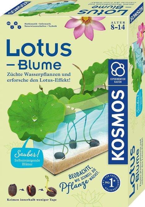 Lotus-Blume, Spiele