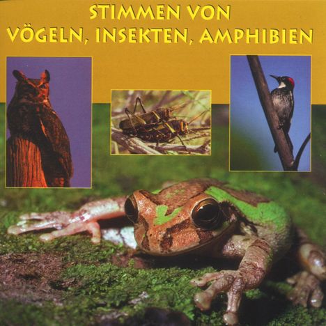 Stimmen von Vögeln,Insekten &amp; Amphibien, CD