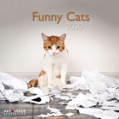 Funny Cats 2020 Broschürenkalender, Diverse