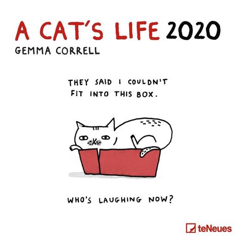 A Cat's life 2020 Broschürenkalender, Diverse