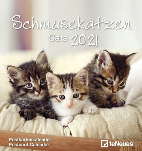 Schmusekatzen 2021 PKK, Kalender
