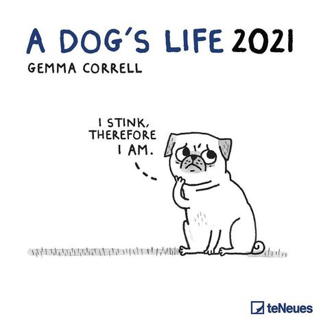 A Dog's Life 2021 Broschürenkalender, Kalender
