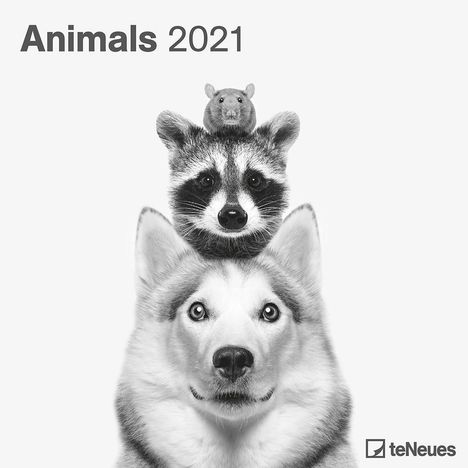 Animals 2021 Broschürenkal., Kalender