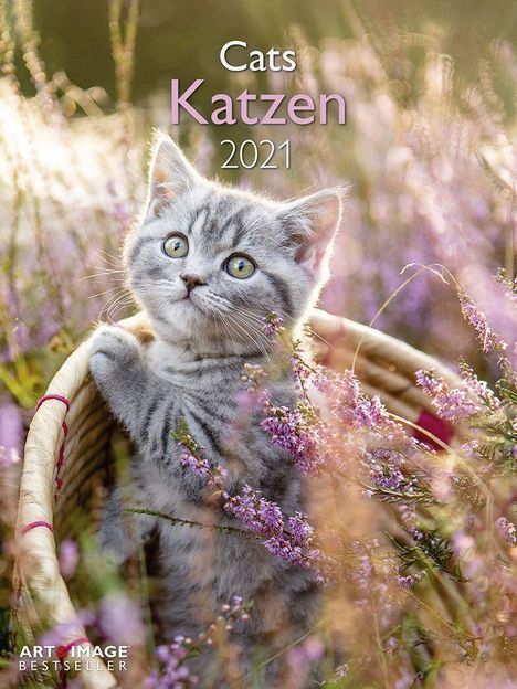 Katzen 2021 Posterkalender, Kalender
