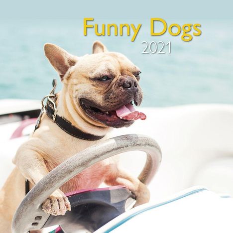 Funny Dog 2021 Broschürenkalender, Kalender