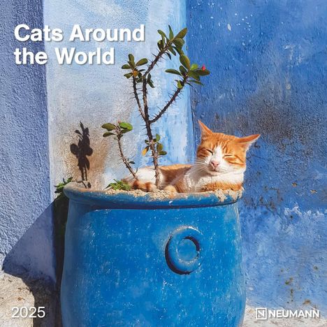 Cats Around the World 2025 - Wand-Kalender - Broschüren-Kalender - 30x30 - 30x60 geöffnet - Katzen-Kalender, Kalender