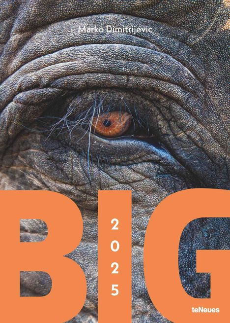 teNeues - Big 2025 Wandkalender, 50x70cm, Kalender mit den Giganten der Tierwelt, faszinierende und respekteinflößende Tiere, die zum Staunen verleiten, Bewunderung und Faszination, mit Spiralbindung, Kalender