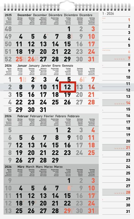 rido/idé 7033430006 | 4-Monatskalender 2026 | grau, 300×490 mm, Kalender