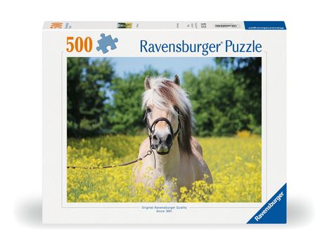 Ravensburger Puzzle 12000210 - Pferd im Rapsfeld - 500 Teile Puzzle für Erwachsene und Kinder ab 10 Jahren, Pferde-Puzzle, Diverse