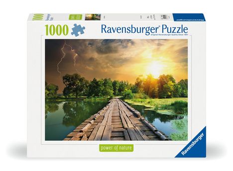 Ravensburger Puzzle 12000305 - Mystisches Licht - 1000 Teile Puzzle für Erwachsene und Kinder ab 14 Jahren, Natur-Aufnahme zum Puzzeln, Diverse