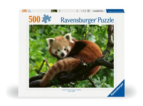 Ravensburger Puzzle 12000369 Süßer roter Panda - 500 Teile Puzzle für Erwachsene und Kinder ab 1´2 Jahren, Diverse