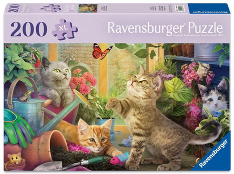 Cover/Produkt Ansicht vergrößern