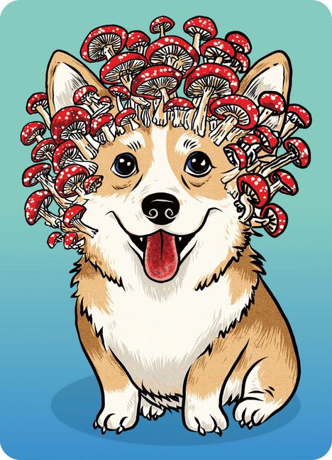 Illustration eines Corgis mit einem Kopf voller roter Fliegenpilze, auf türkisfarbenem Hintergrund.