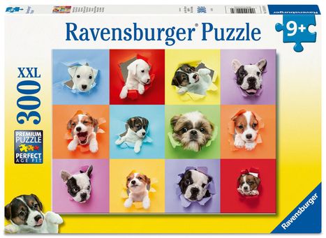 "Ravensburger Puzzle" steht oben. Zwölf Welpen schauen durch bunte, zerrissene Papiere. "300 XXL" und "9+" hervorgehoben.