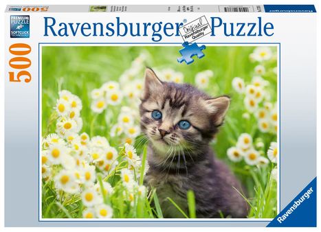 Ravensburger Puzzle 17378 Kätzchen in der Wiese - 500 Teile Puzzle für Erwachsene und Kinder ab 12 Jahren, Diverse