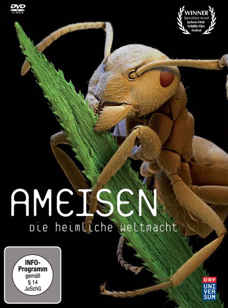 Ameisen - Die heimliche Weltmacht, DVD