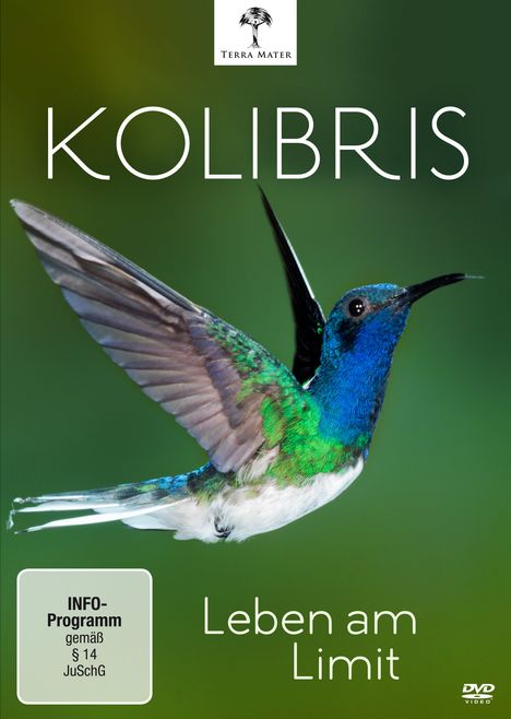 Kolibris - Leben am Limit, DVD