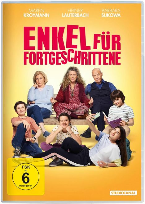 Enkel für Fortgeschrittene, DVD