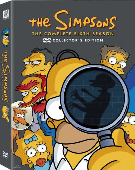Die Simpsons Staffel 6, 4 DVDs