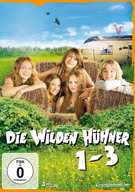 Die wilden Hühner 1-3, 3 DVDs