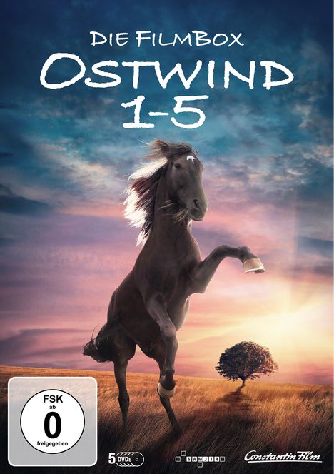 Ostwind 1-5, 5 DVDs