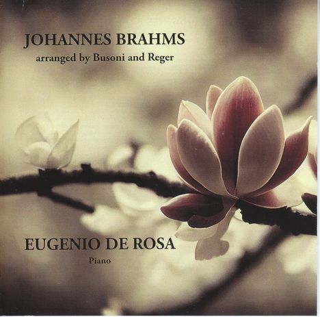 Johannes Brahms (1833-1897): Transkriptionen für Klavier, CD