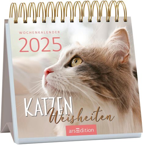 Mini-Wochenkalender Katzenweisheiten 2025, Kalender