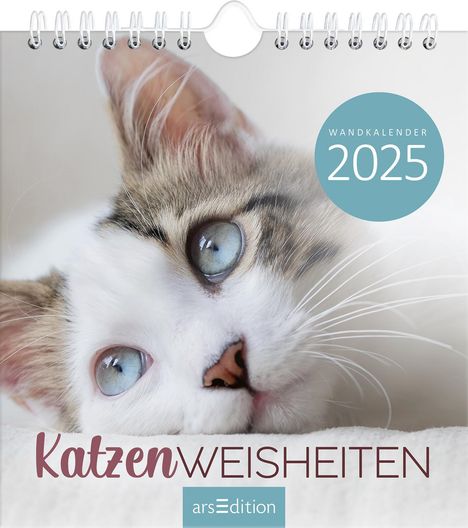Wandkalender Katzenweisheiten 2025, Kalender