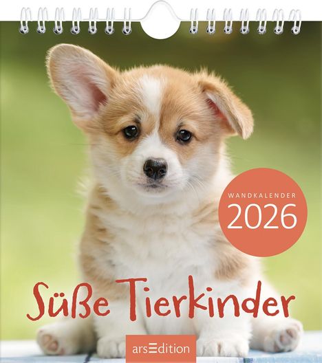 Wandkalender Süße Tierkinder 2026, Kalender