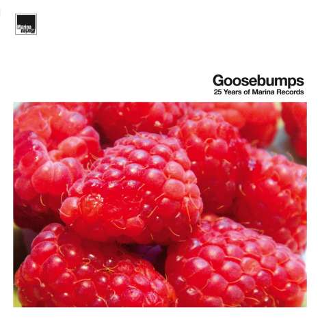 Goosebumps - 25 Years Of Marina Records (Orange/Yellow/Red Vinyl), 3 LPs