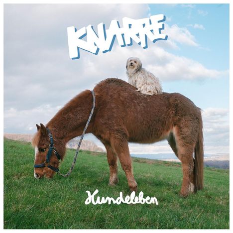 Knarre: Hundeleben (Clear Grey Marble Vinyl) (45 RPM), LP