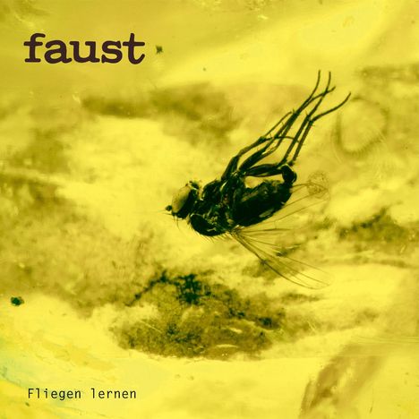 "faust" oben, "Fliegen lernen" unten. Eine Fliege ist in gelber Substanz eingeschlossen.