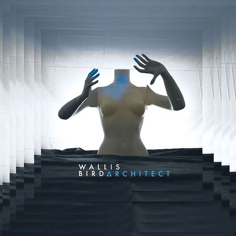 Wallis Bird: Architect (180g) (Limited Deluxe Edition) (2LP + 2CD), 2 LPs und 2 CDs