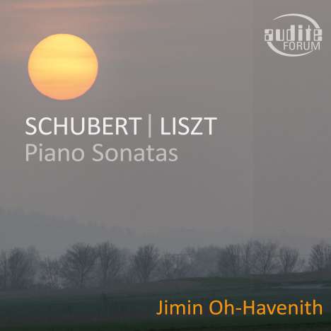 Franz Schubert (1797-1828): Klaviersonate D.894, CD