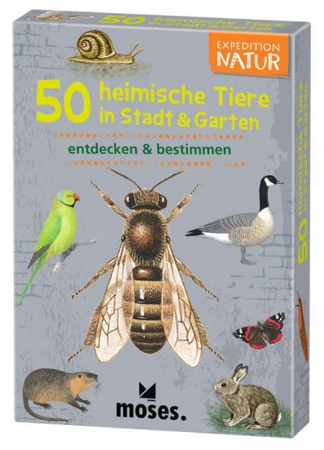 Carola von Kessel: Expedition Natur. 50 heimische Tiere in Stadt &amp; Garten, Spiele