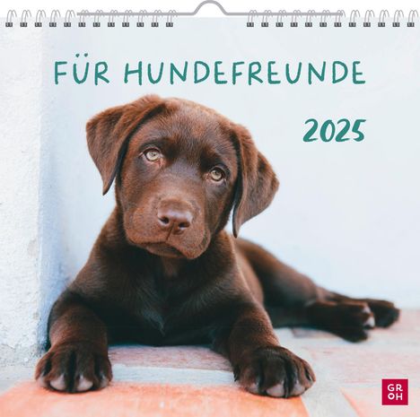 Wandkalender 2025: Für Hundefreunde, Kalender