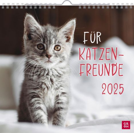 Wandkalender 2025: Für Katzenfreunde, Kalender