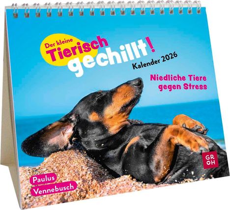 Paulus Vennebusch: Mini-Kalender 2026: Der kleine Tierisch gechillt! Kalender, Kalender