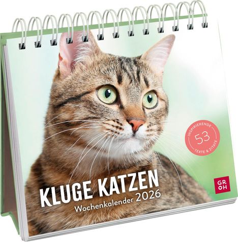 Kluge Katzen 2026, Kalender