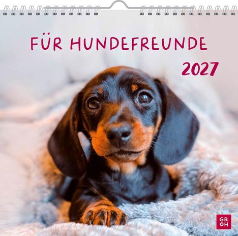 Text: "FÜR HUNDEFREUNDE 2027". Ein niedlicher Welpe blickt in die Kamera, auf weicher Decke liegend. Unten rechts ein rotes Logo.
