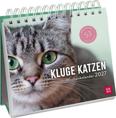 "KLUGE KATZEN Wochenkalender 2027". Großaufnahme einer Katze mit grünen Augen. Spiralbindung oben.