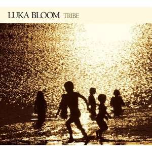 Luka Bloom: Tribe (180g) (Limited Edition), LP
